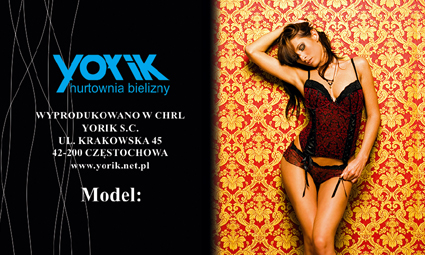 Projektowanie graficzne